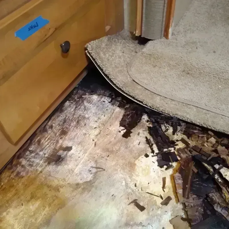 Wood Floor Water Damage in Brooks County, GA